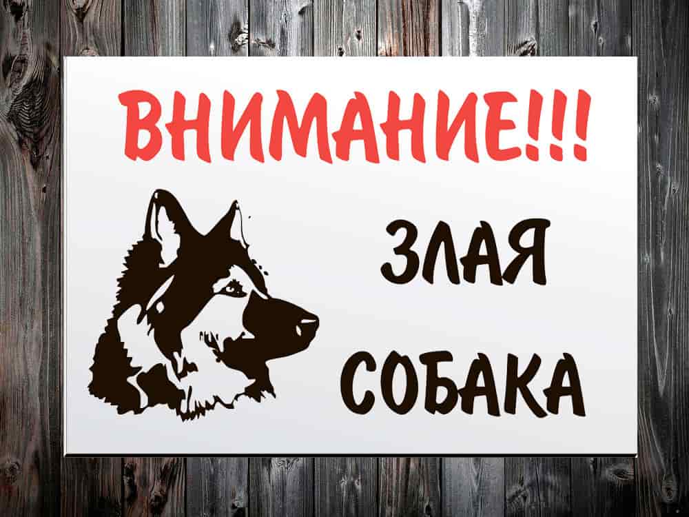 Табличка Внимание! Злая собака
