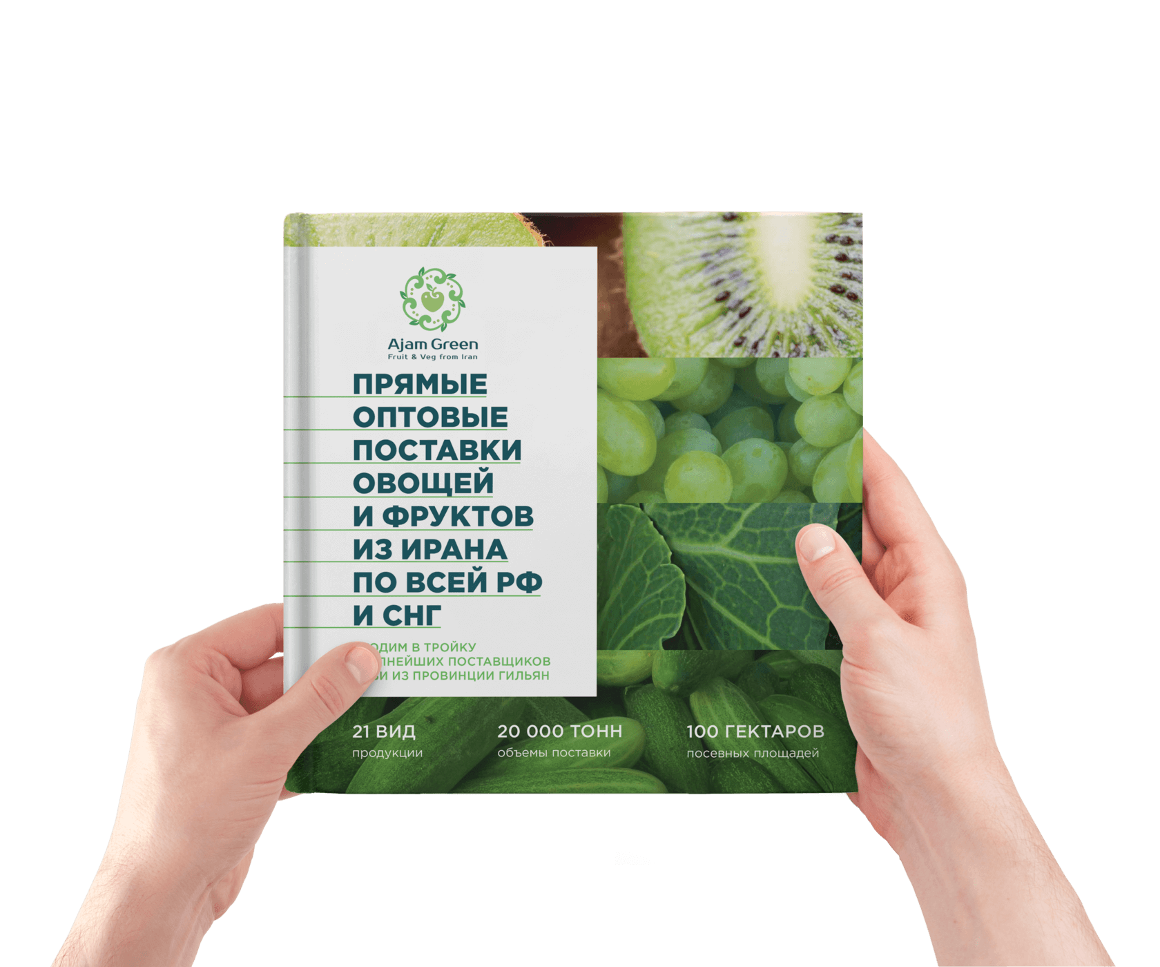 маркетинг-кит