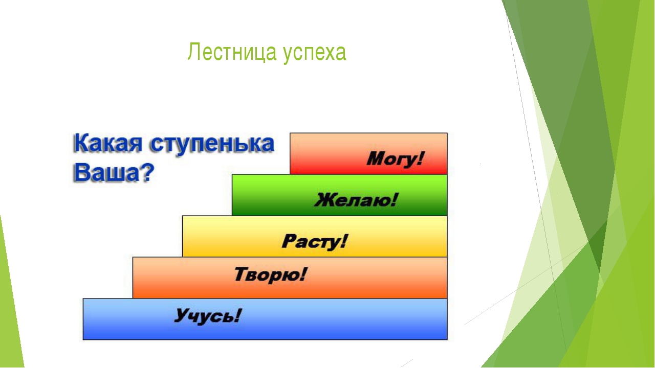 Нарисуй ступени к знаниям обозначив на них этапы получения образования отметь на какой ступени ты