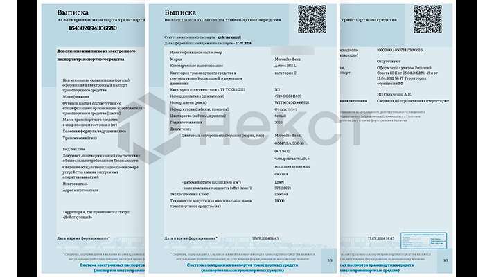 Параллельный импорт авто в Россию: пошаговое руководство для юрлиц 2024 фото №8