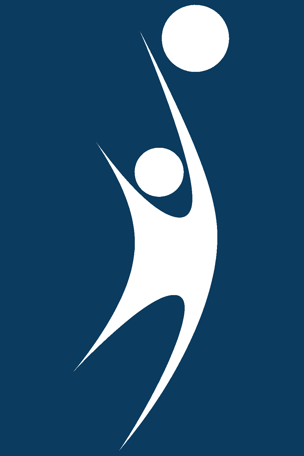  Школа волейбола Станислава Алексеева 