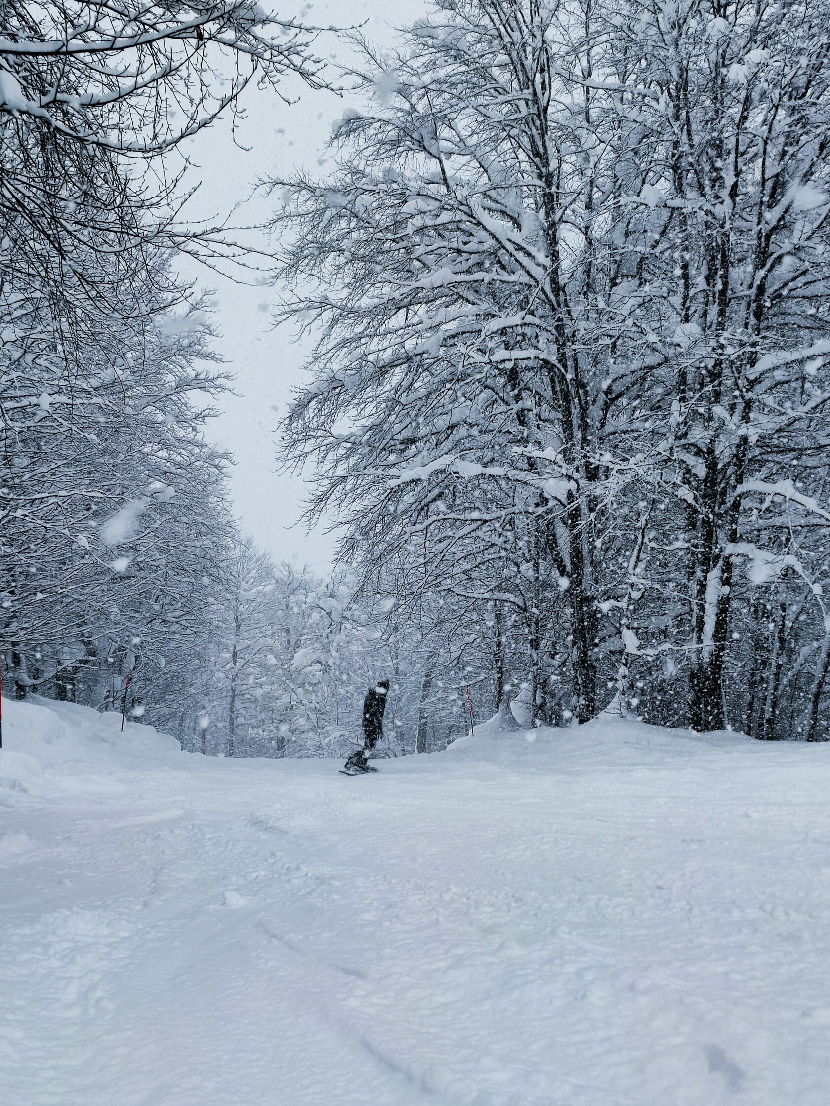 горнолыжная школа сочи
