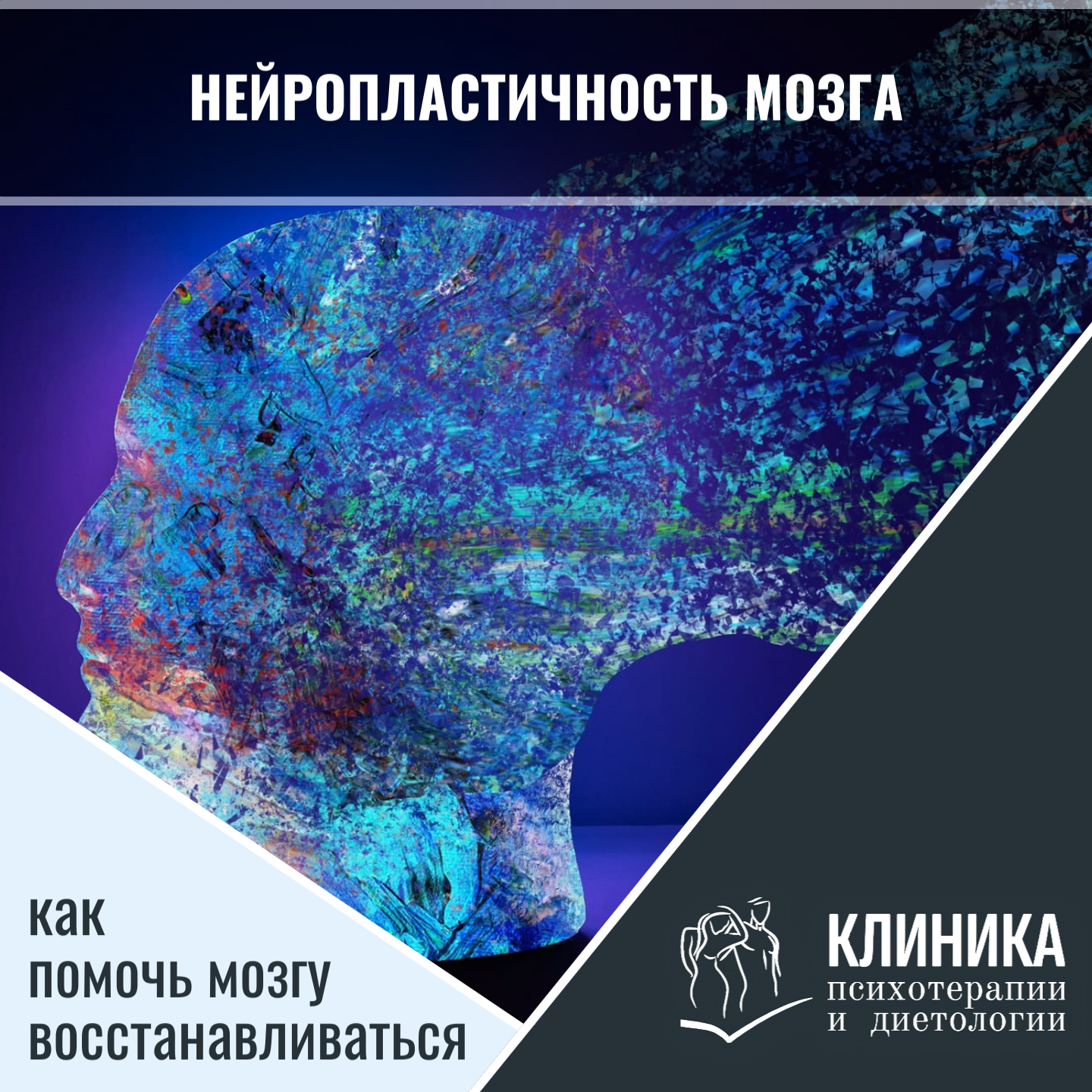 Нейропластичность мозга: как помочь мозгу восстанавливаться