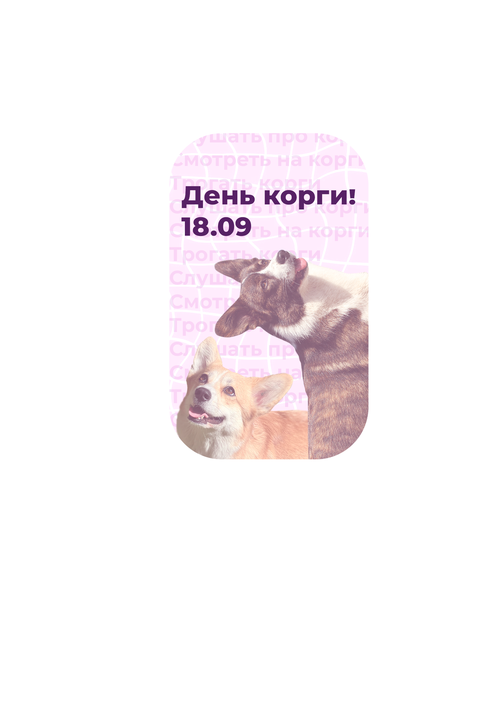 День корги