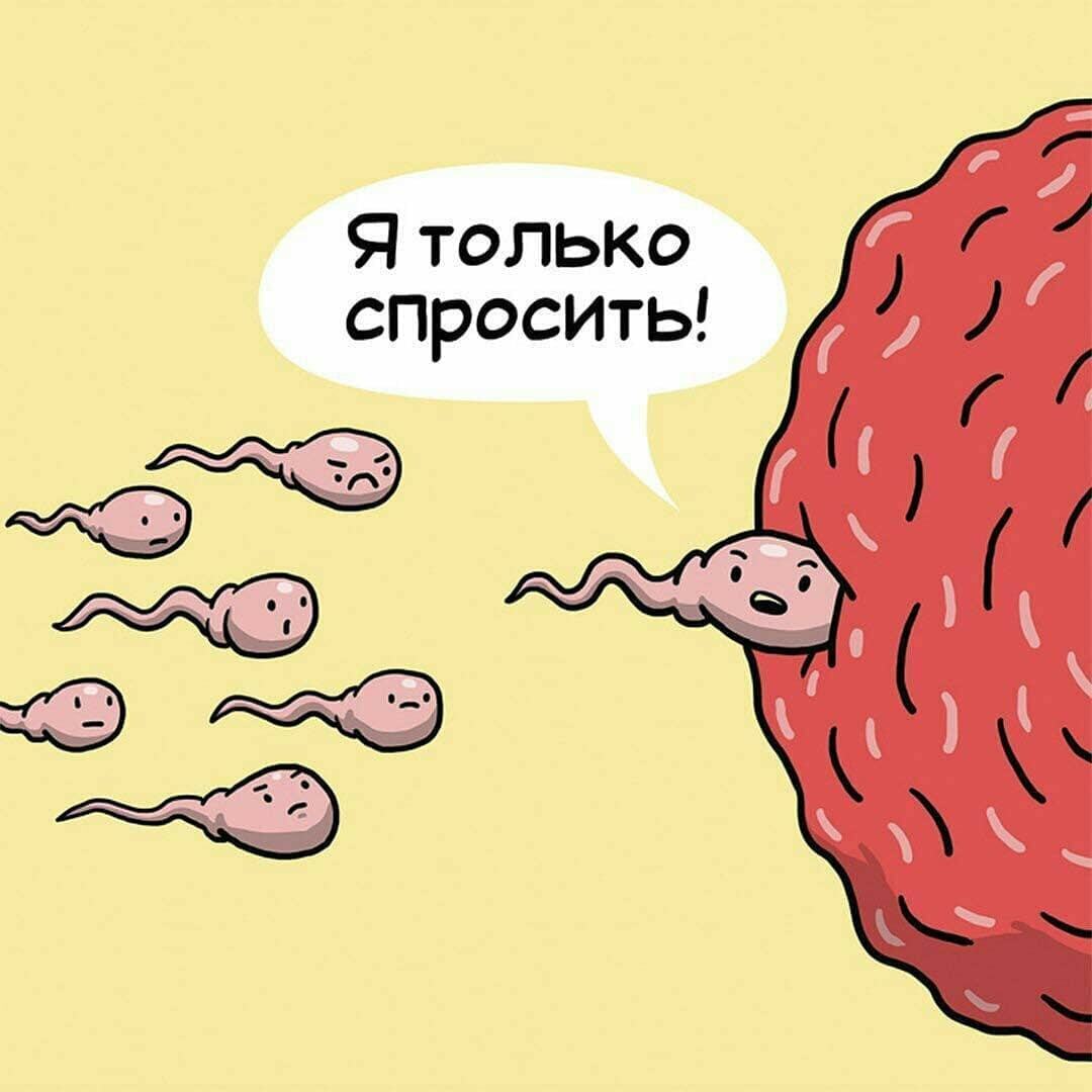 Как подготовиться к приему гинеколога – Врач-гинеколог в Москве – Клиника НКЦ №2 (ЦКБ РАН)