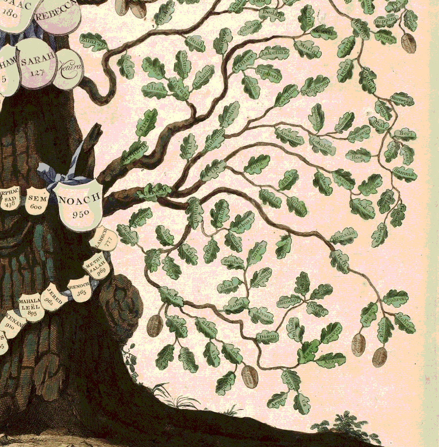 Генеалогическое дерево своими руками