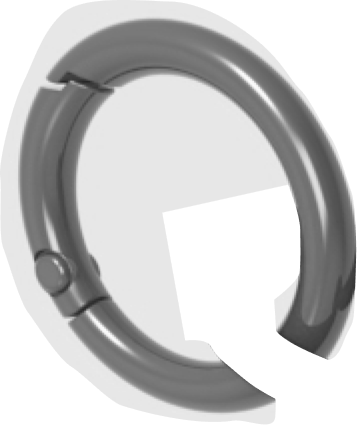 carabiner