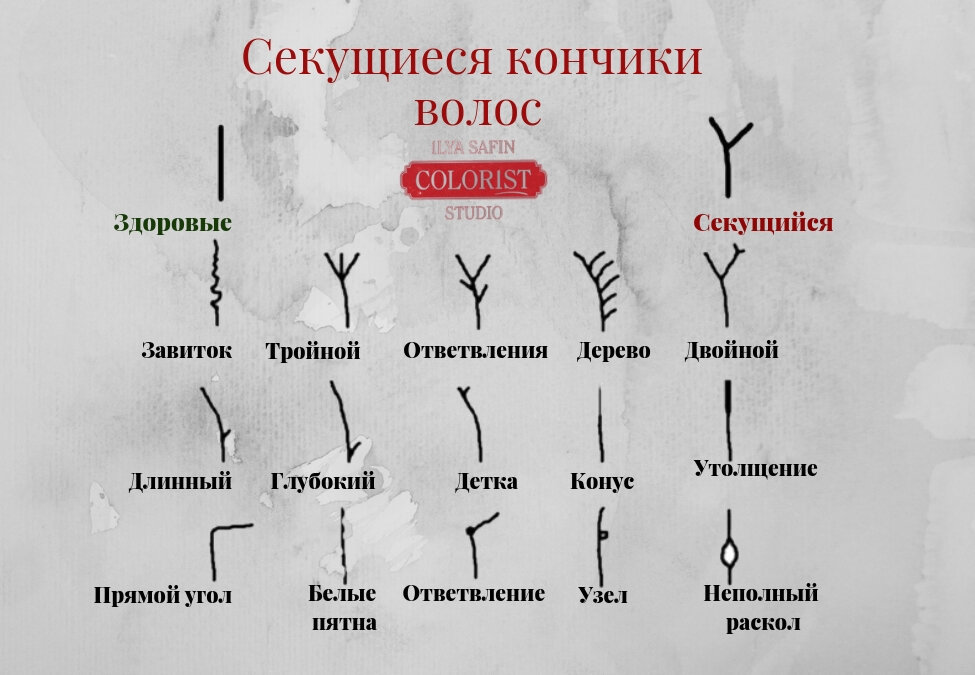 Секущиеся волосы: решаем проблему комплексно