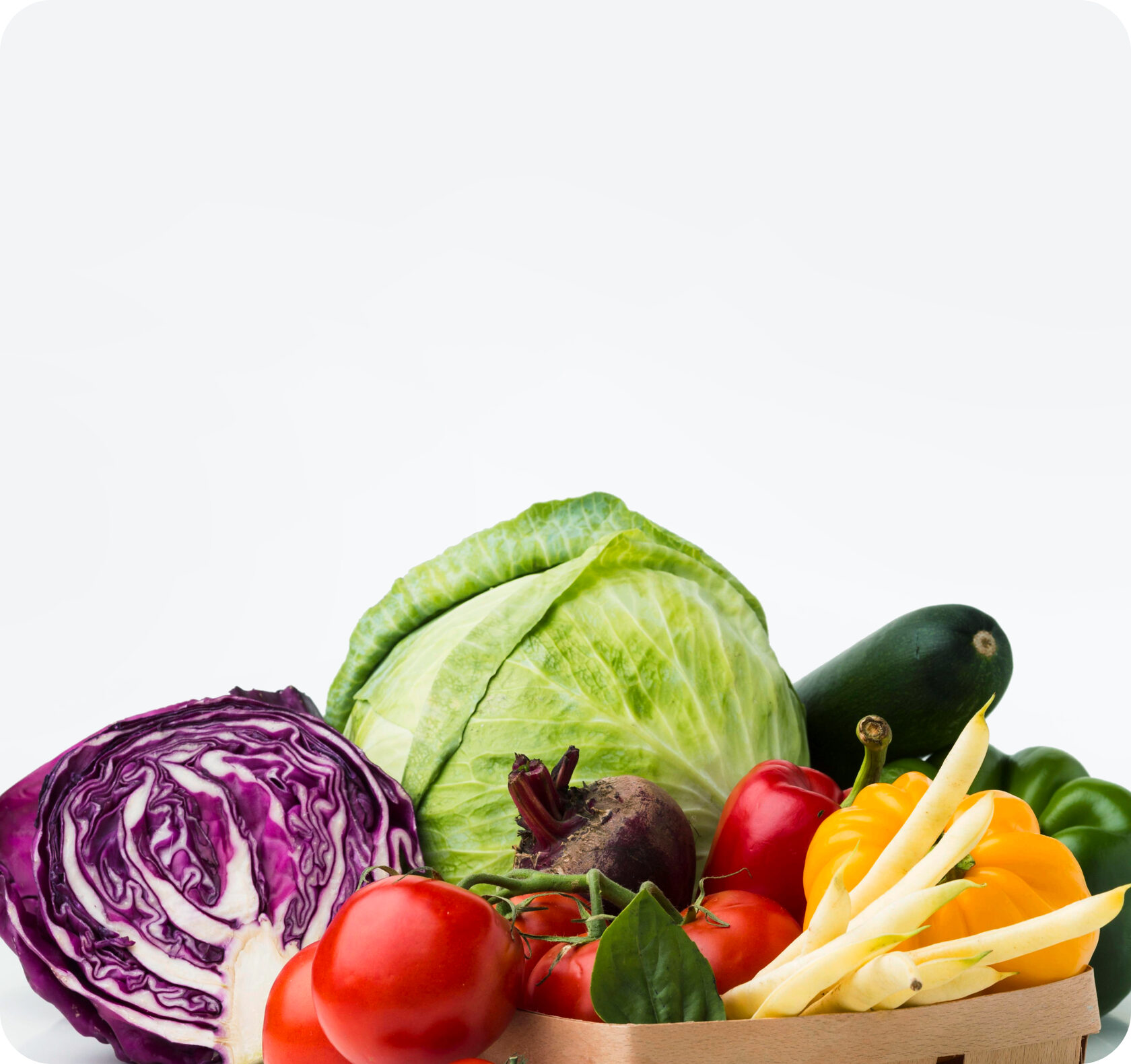 nutriciologzhukova.ru