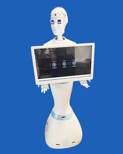 робот-помощник