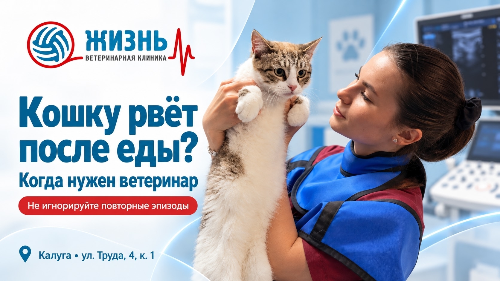 Кошку рвёт после еды: когда это опасно?