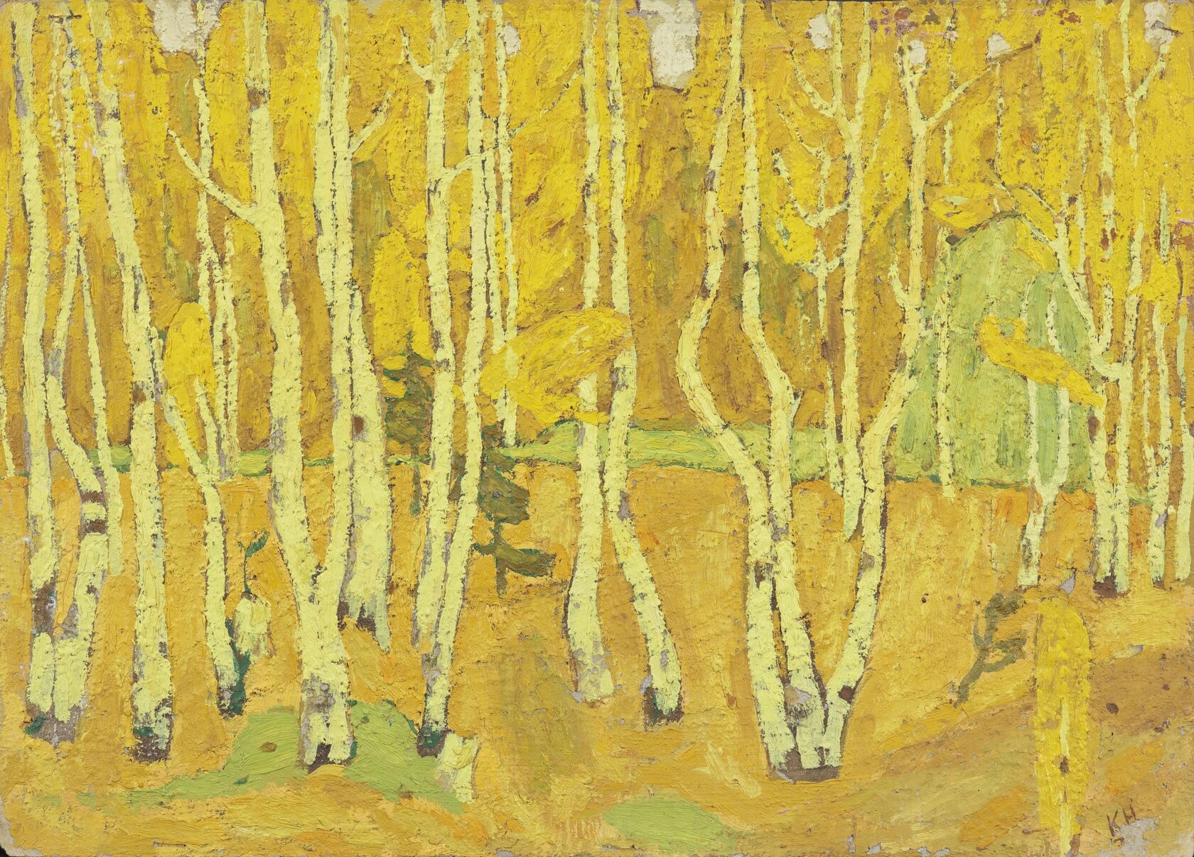 Березовая роща. Осень. 1960-е