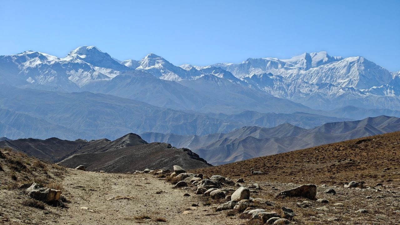 Медицинские стажировки