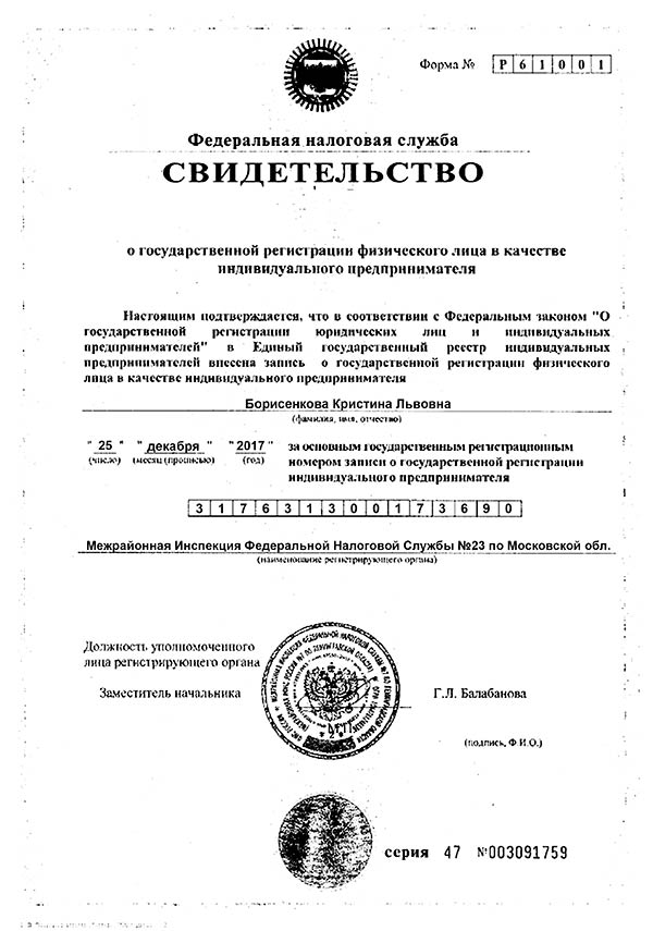 Номер государственной регистрации. Что такое ОГРНИП для физических лиц. ОГРНИП бланк. Как расшифровать ОГРНИП. ОГРНИП 2022.