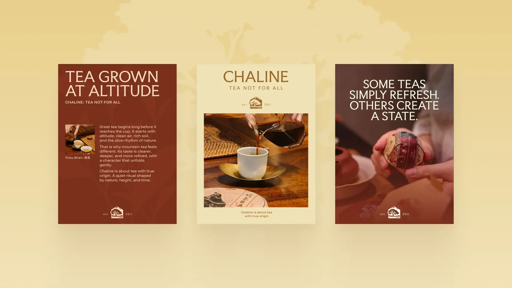 Дополнительная цветовая палитра Chaline для социальных сетей
