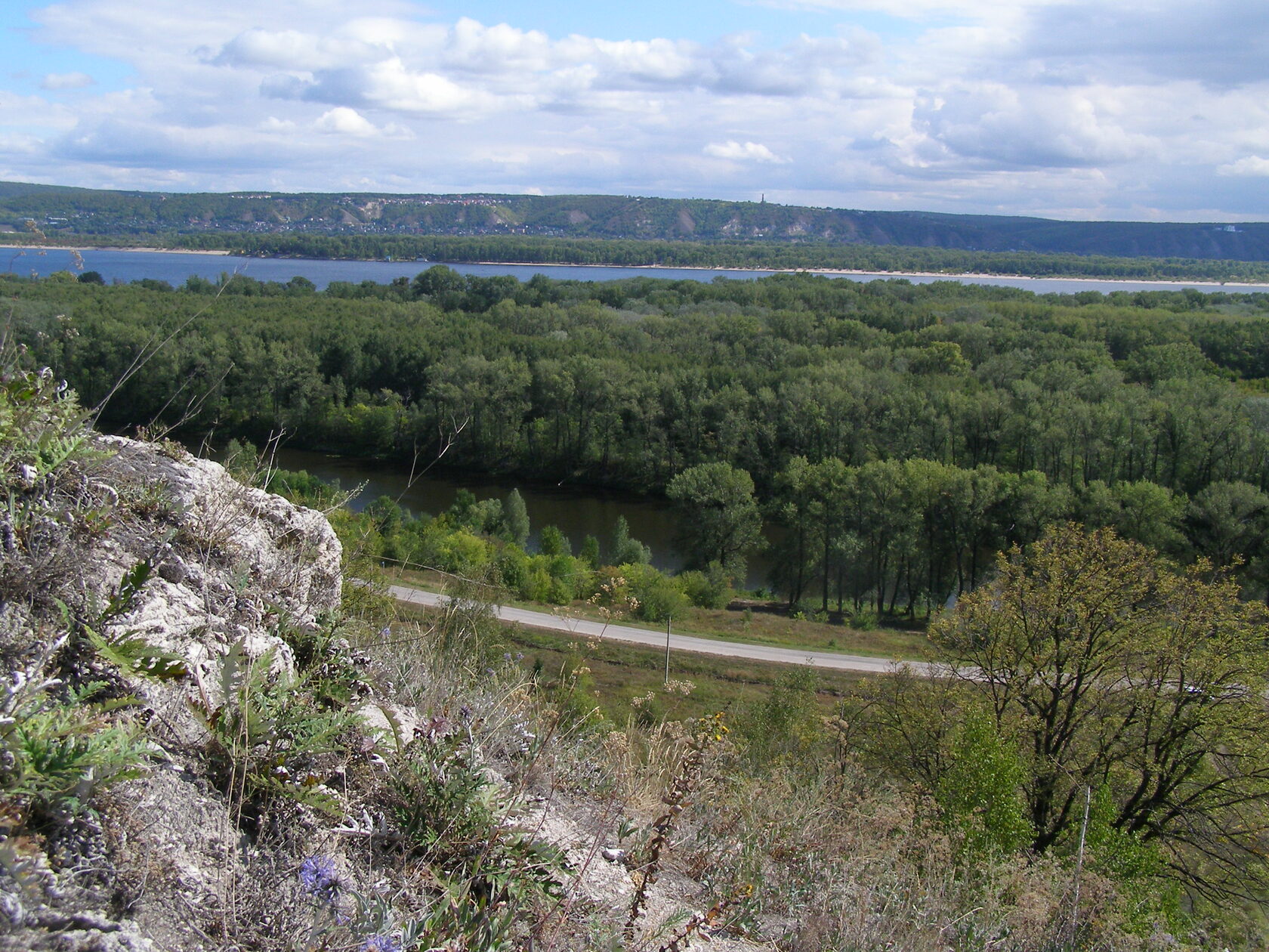 Поляна самара