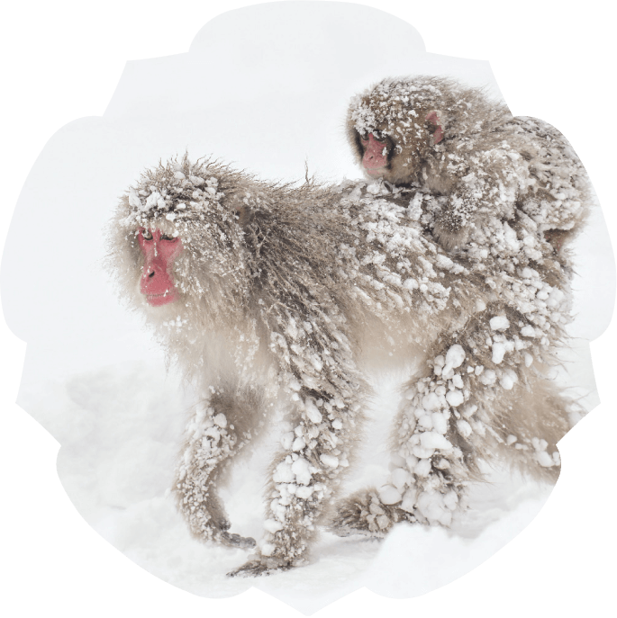 Хруст снега