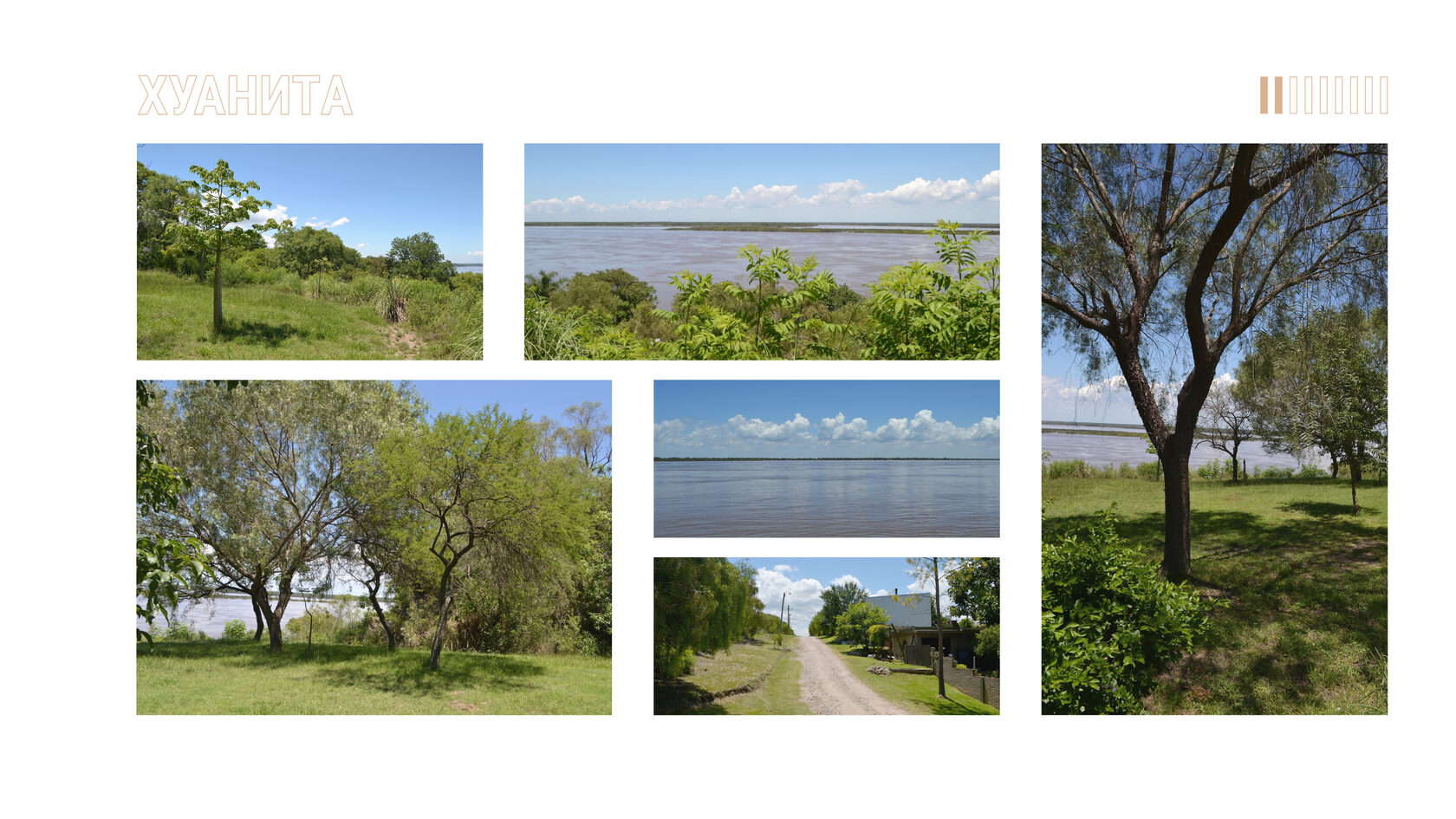 Фотографии локации для проекта частной виллы "Среди деревьев". Локация - провинция Энтре-Риос, частный посёлок Ла Хуанита, берег реки Парана.