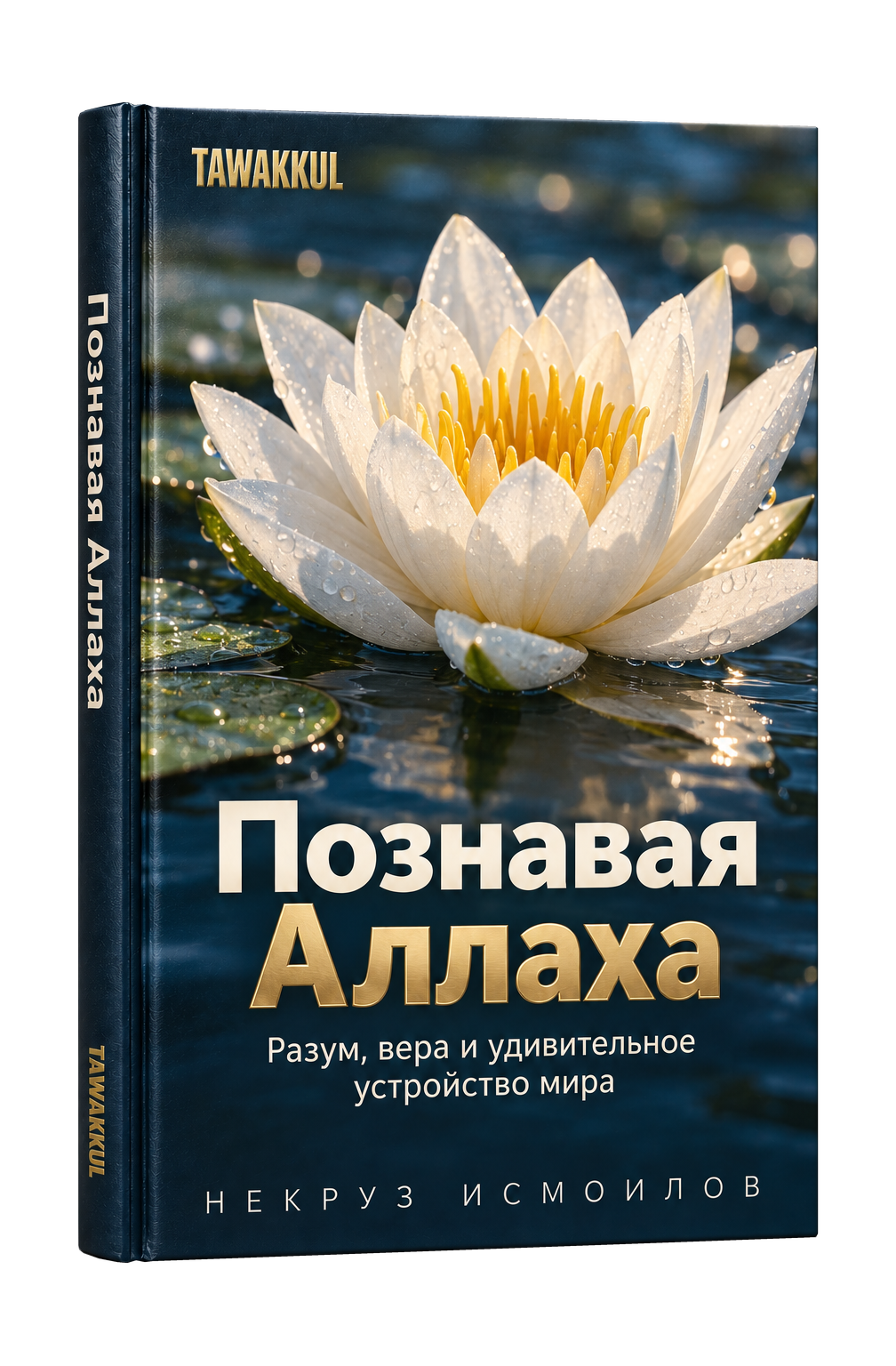 Познавая Аллаха. Обложка книги