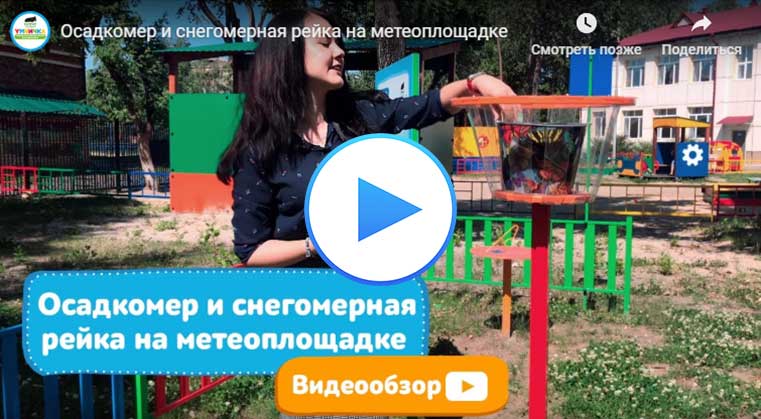 Метеостанция для детского сада, проект в ДОУ купить по низкой цене