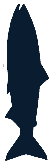 футбольный матч