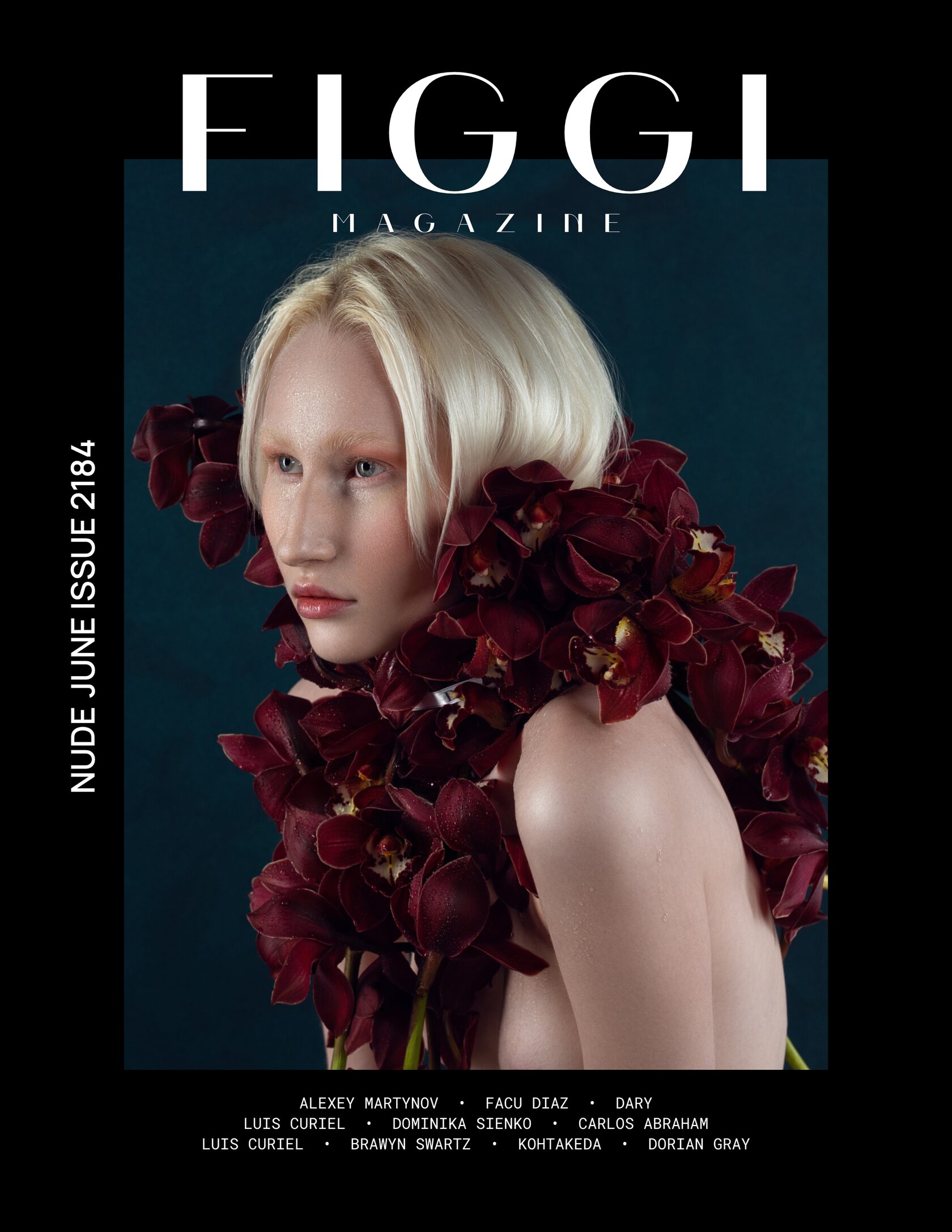 Figgi cover, Vol. 10