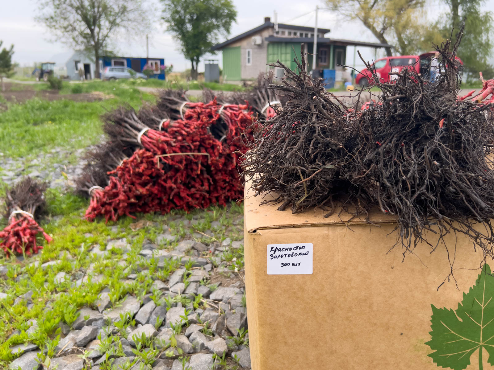 Экспедиция 