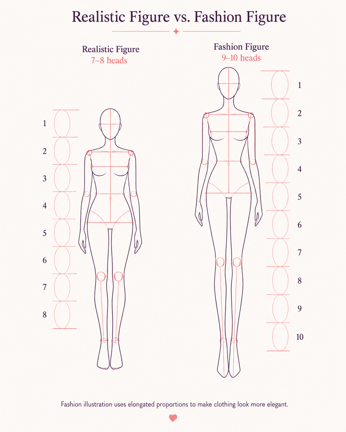 Realistic Figure vs Fashion Figure Proportions