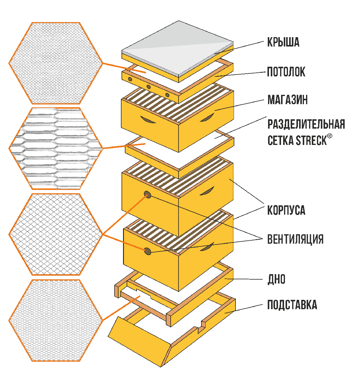 Строение улья для пчел схема