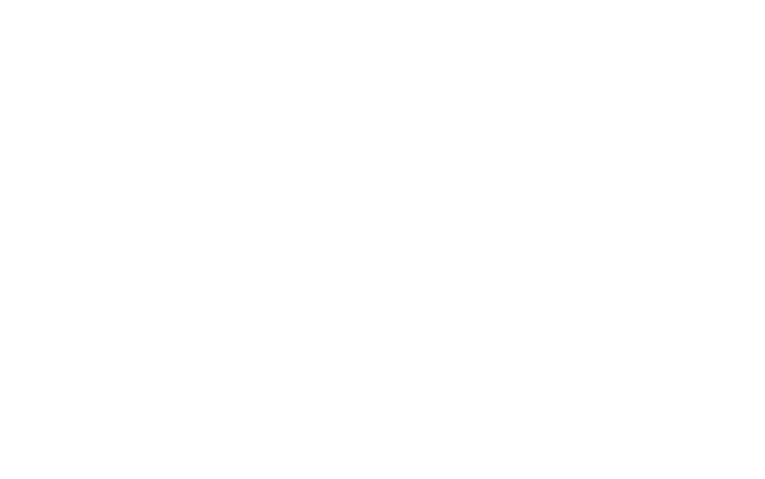 DataPRO