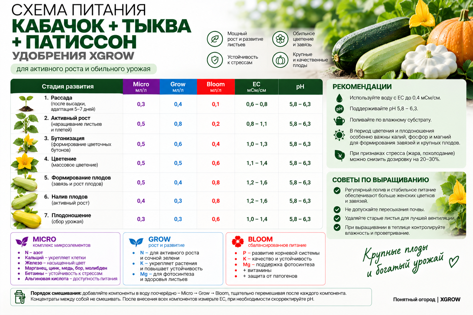 Схема питания кабачка, тыквы и патиссона