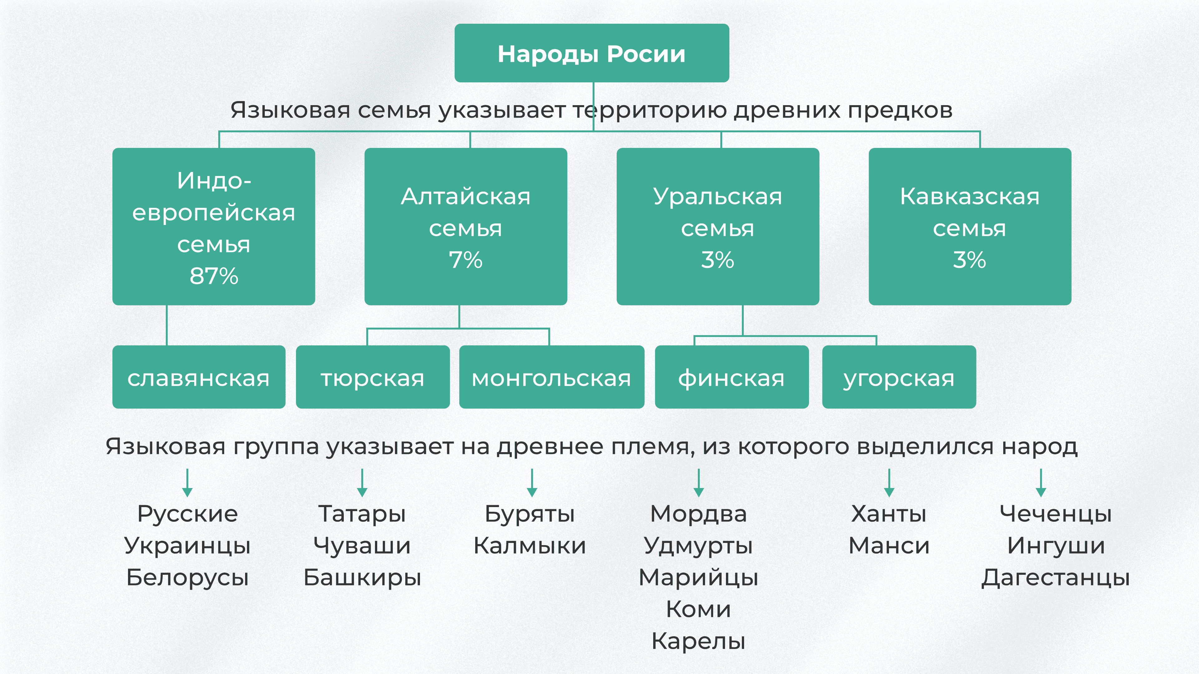 8 класс- География - 2