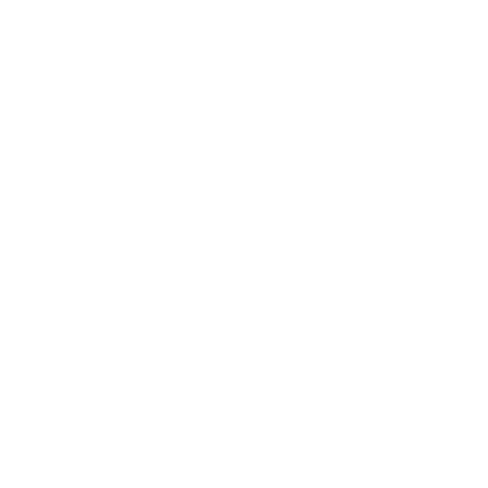 Логотип компании Андес