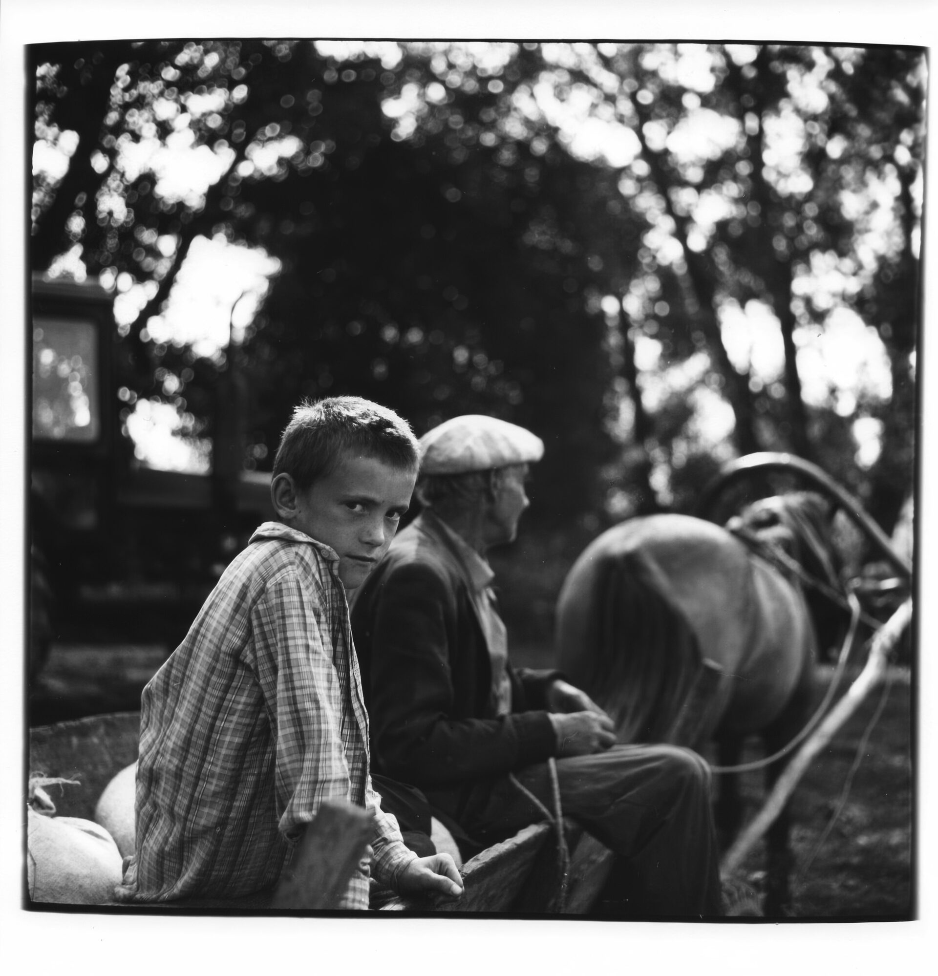 Альберт Цеханович: Кола часу.