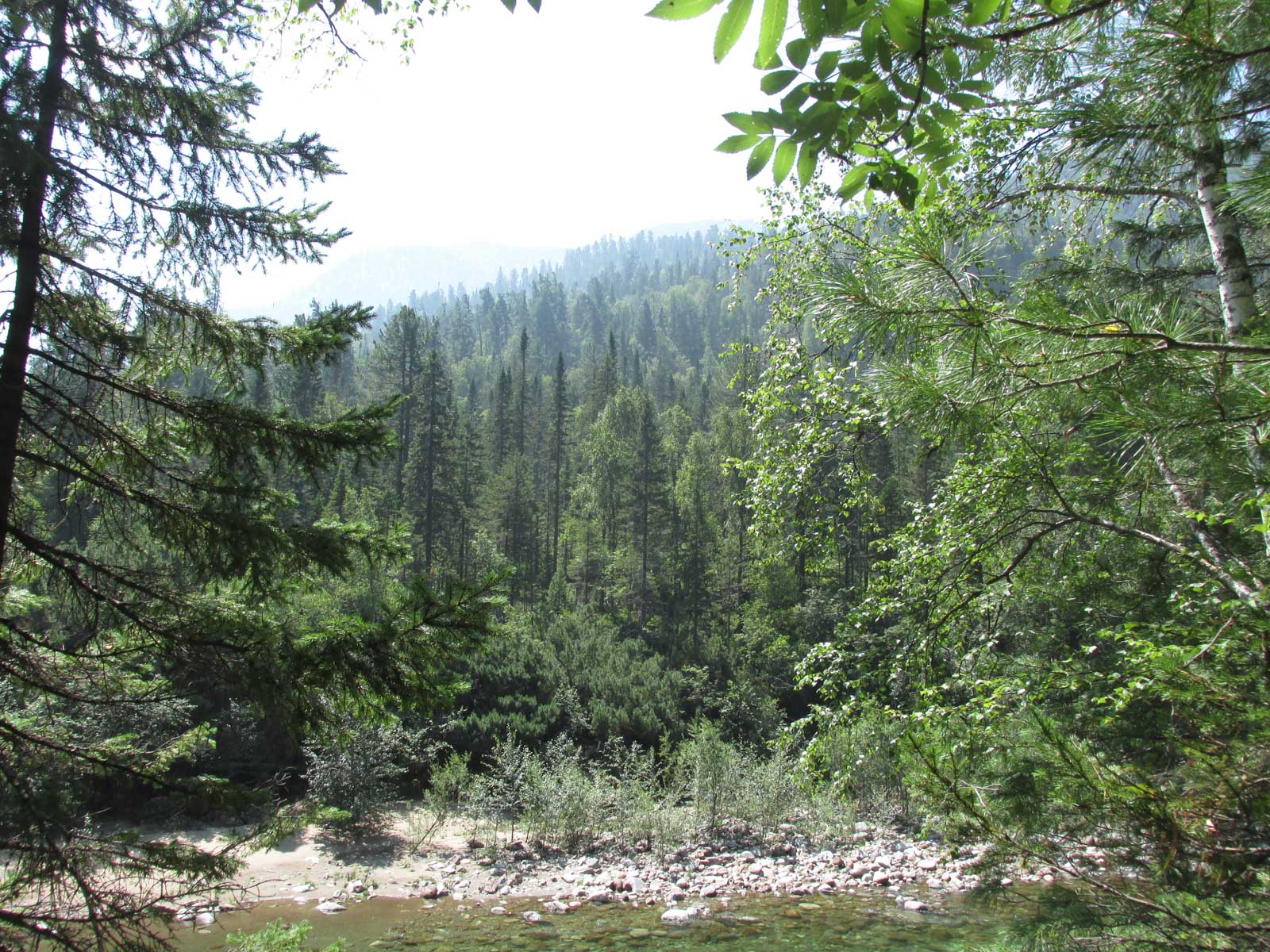 пора студенческих практик в Байкальском заповеднике