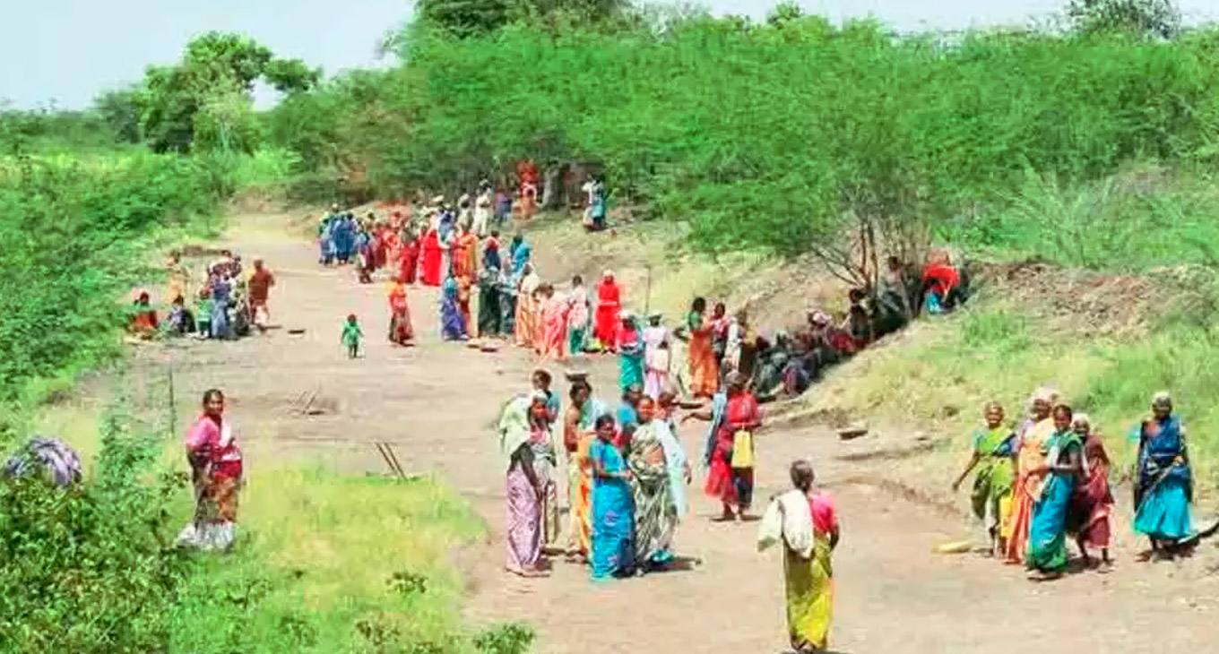 Как вермикультура меняет жизнь сельского населения Индии