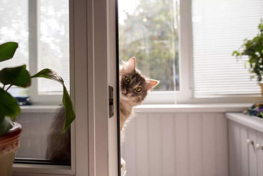 Тёплое остекление балкона