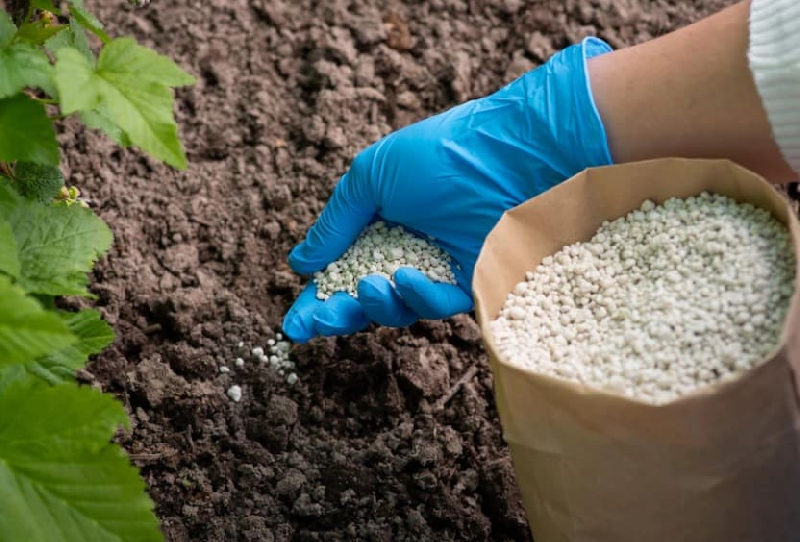 удобрения минеральные, органические и комплексные
