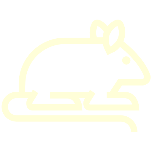 мышка иконка3