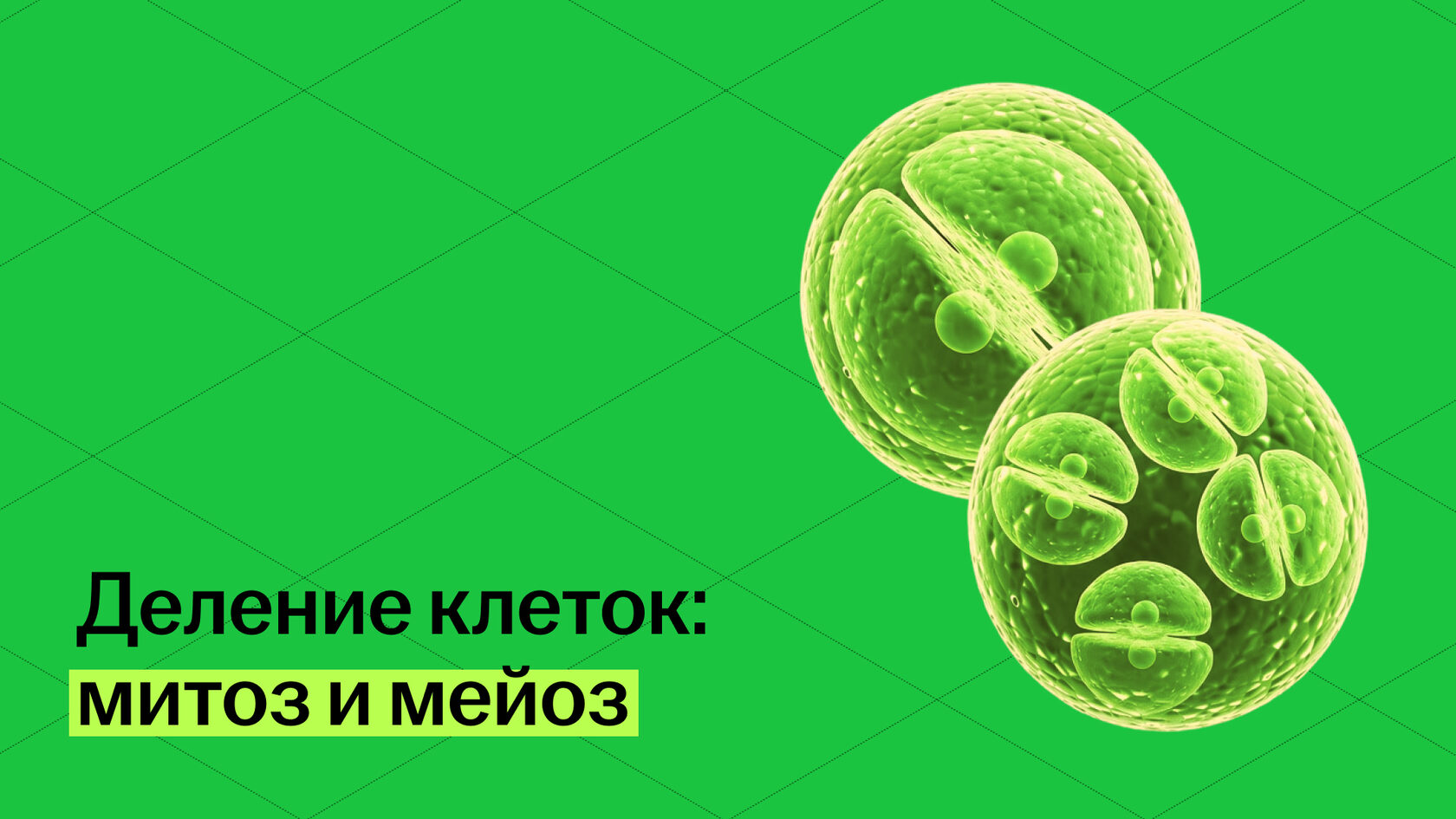 Обложка статьи