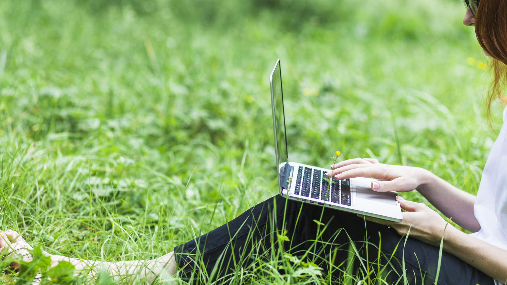 Green computers. Ноутбук на природе. Ноутбук на траве. Девушка на траве с ноутбуком. Ноутбук на травке.