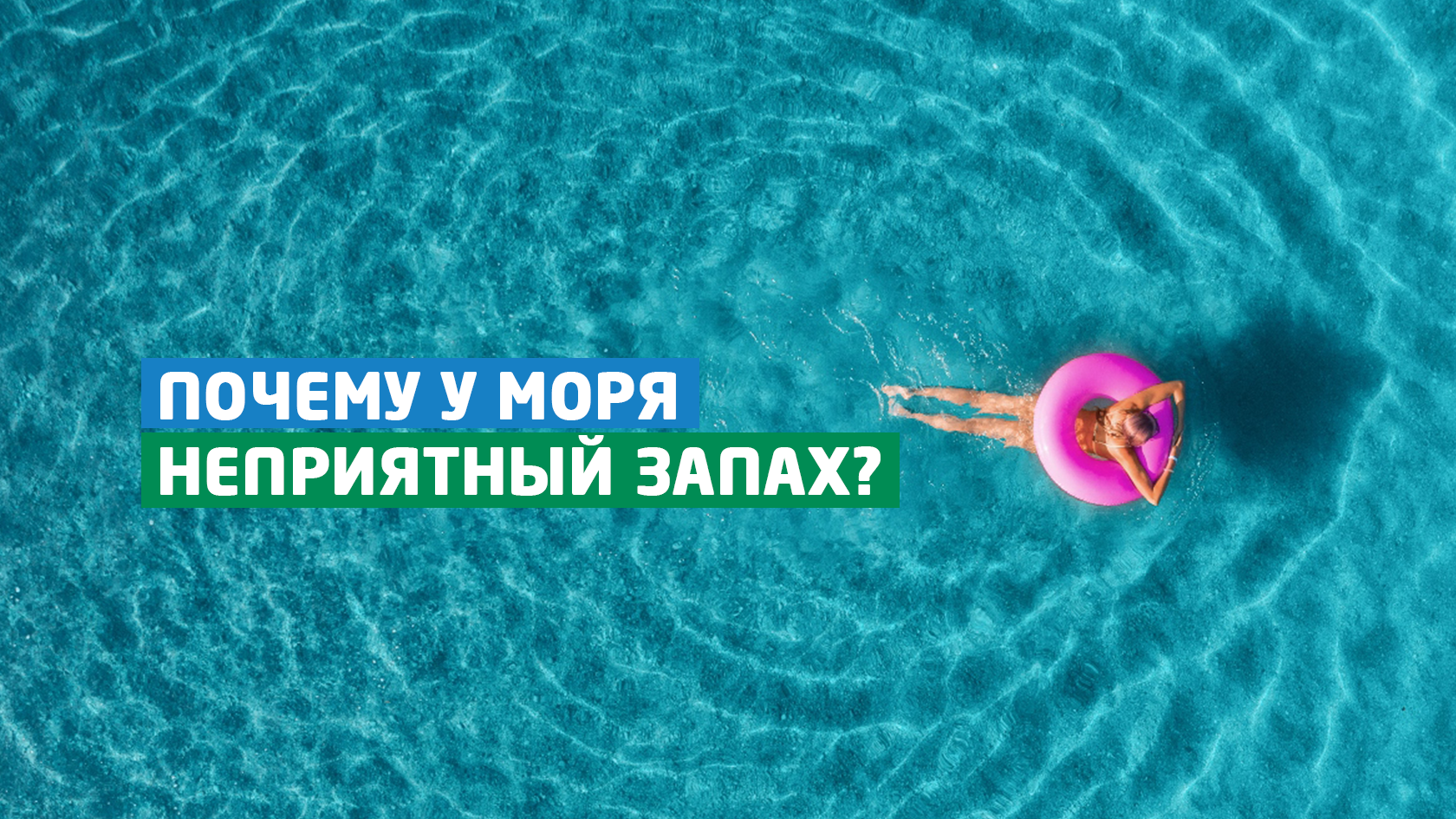 Почему у моря неприятный запах