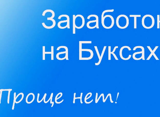 Какой букс лучше. Заработок на буксах. Буксы для заработка в интернете. Буксы для заработка.