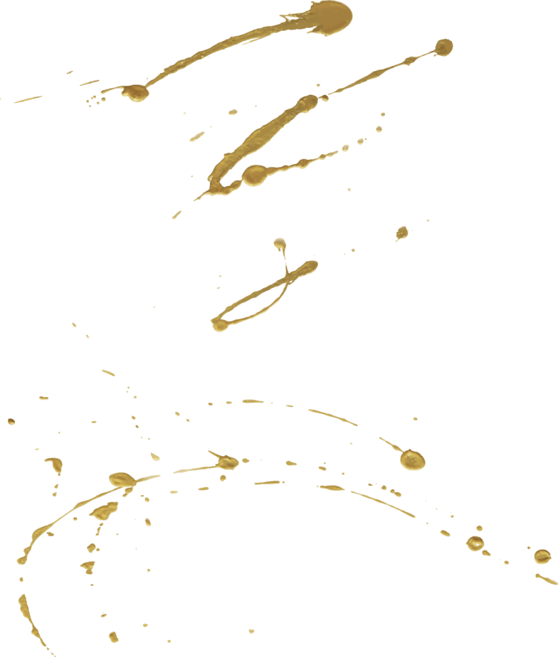 splash_img