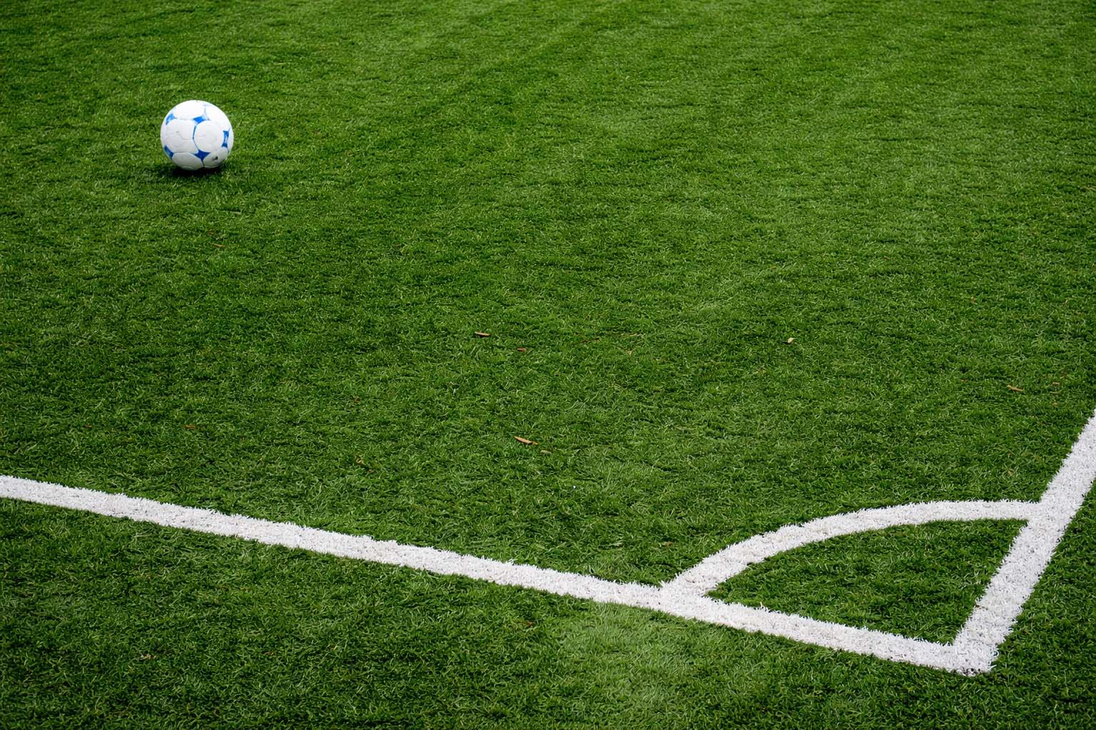 Спортивный газон