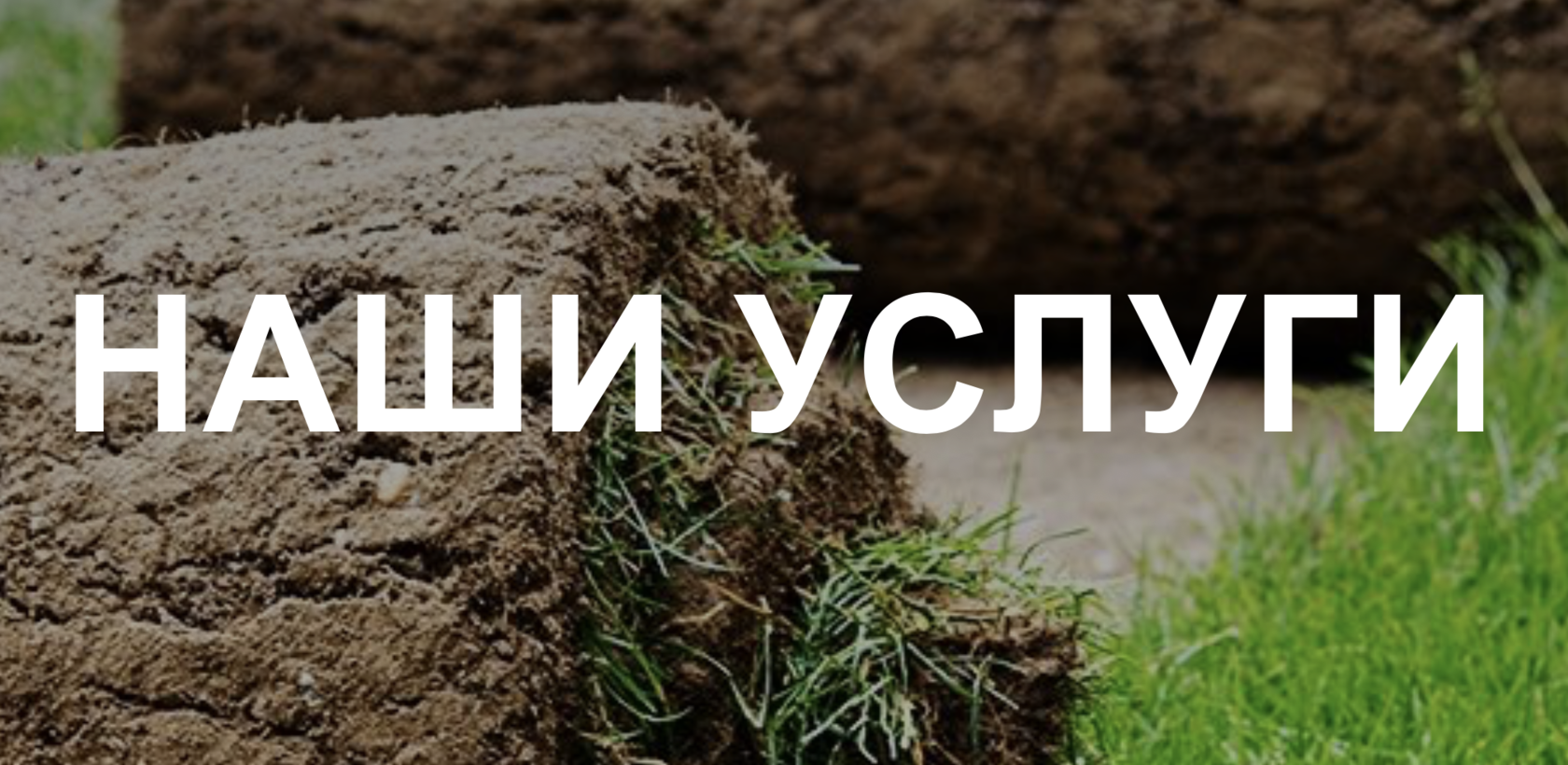 Ландшафтные услуги