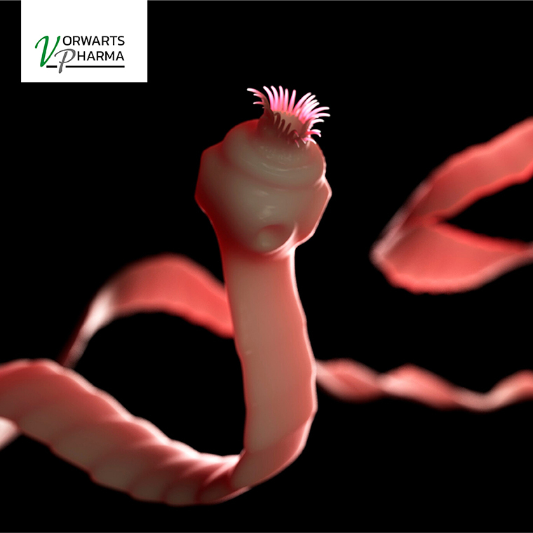How to understand that you have worms