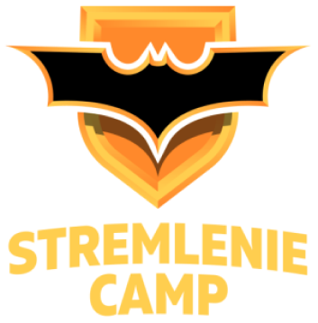 Лига стремление. Лагерь стремление баскетбольный. Логотип стремление. Stremlenie Camp Казань. Баскетбольный клуб стремление Москва адреса.