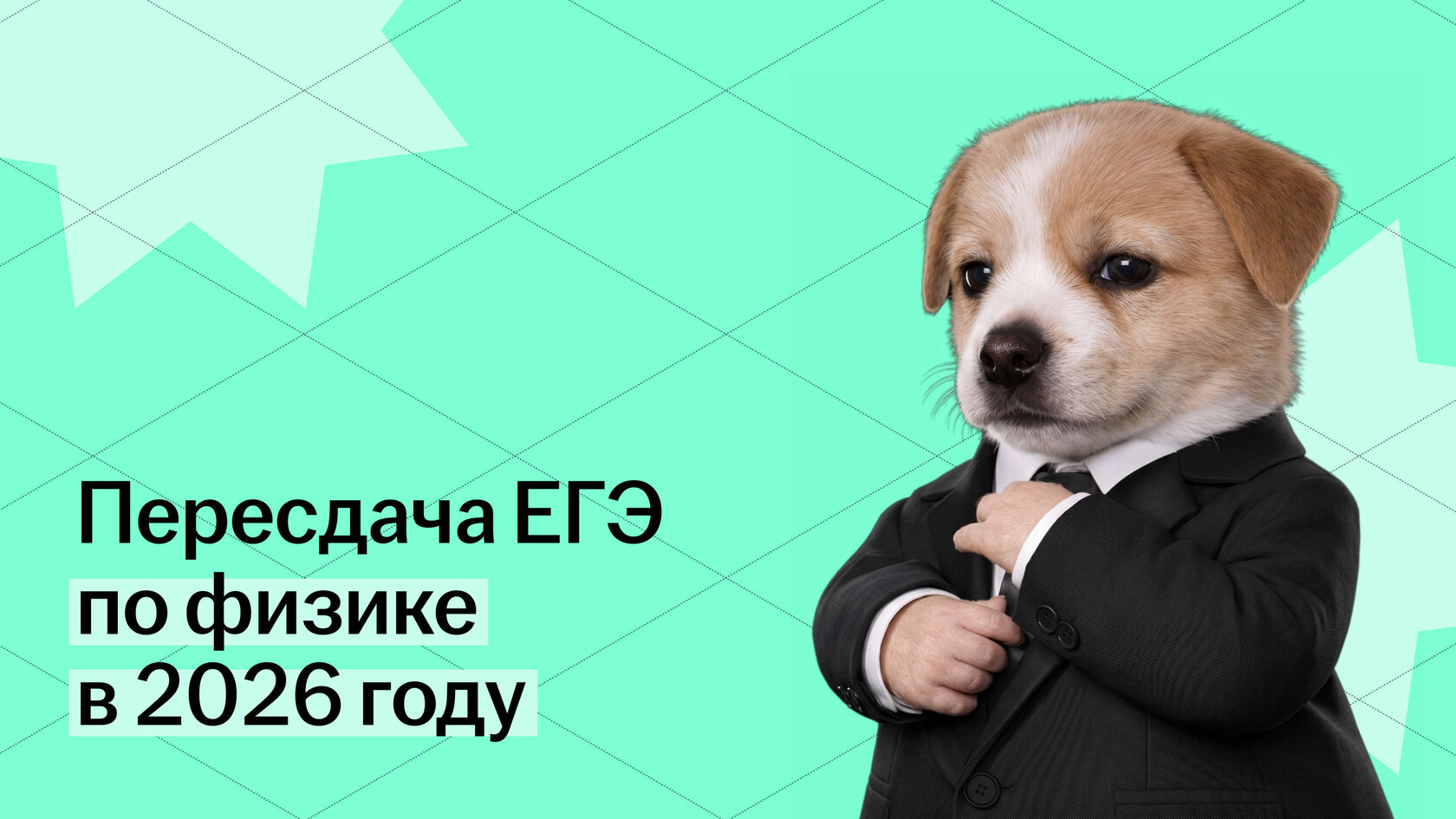 Пересдача ЕГЭ по физике: план действий