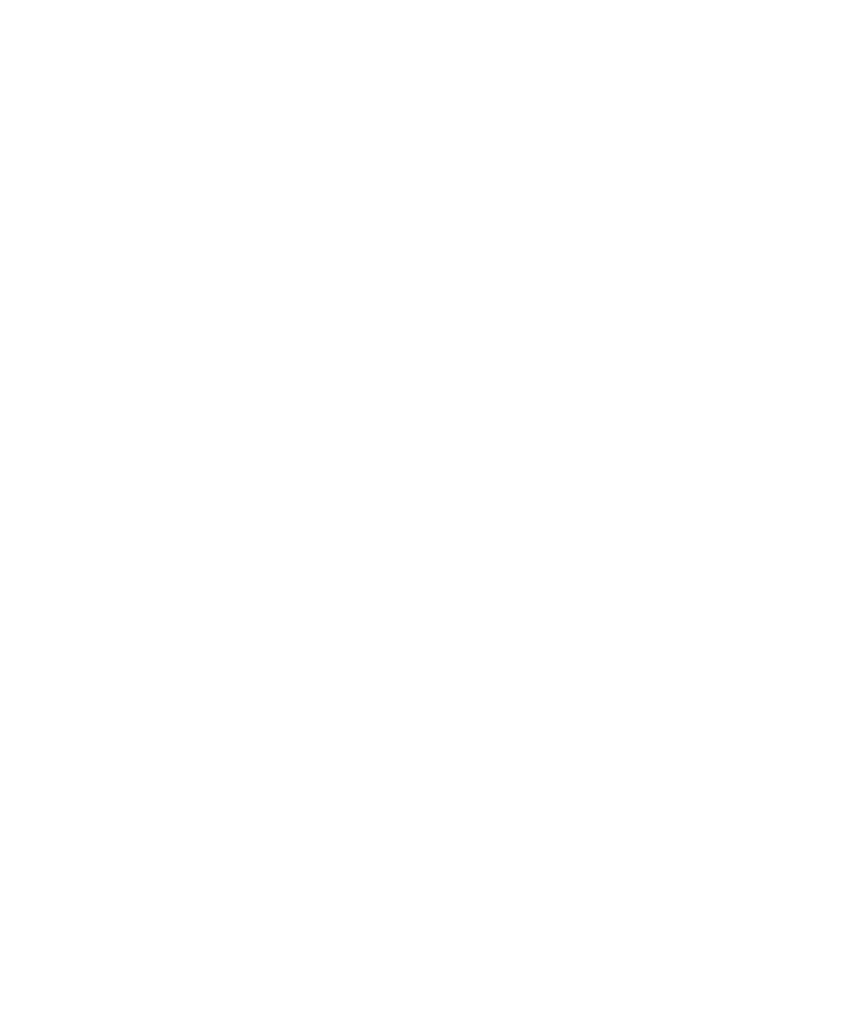 План